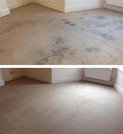 professional offer carpet Cleaning 