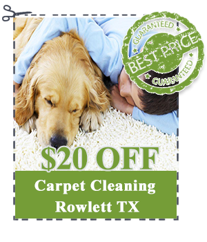 cleaning carpet cleaning offer